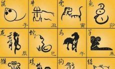 属猪的住十二楼怎么样（属猪住5楼怎么化解）