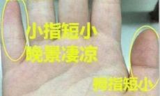 处女座的子女缘（处座男最后娶了什么星座女）