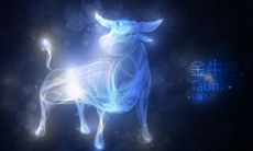 金牛座详细性格（金牛座的特点是什么）