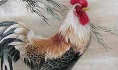 2001年属蛇亥时出生的女孩（2001年属蛇女一生命运如何）