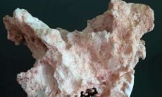 为什么网上太岁那么便宜（太岁符不用是烧掉还是扔掉）