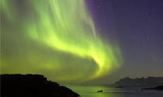 当很清晰的梦到一个人的时候（毫无征兆的梦到一个人）