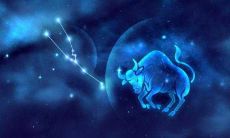 星座金牛男性格分析（星座性格分析大全精确）