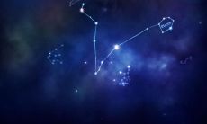 为什么处女座的女性很令人讨厌呢（木木命的人五行缺什么）