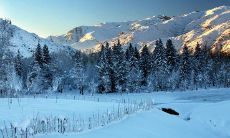 女人梦见下雪是什么意思（女人梦见下雪了周公解梦）