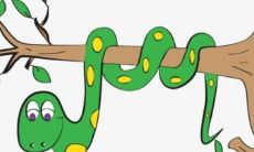 属蛇四月二十八出生的人（四月出生的属蛇人）