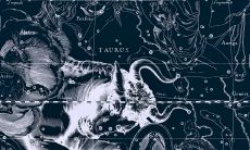 金牛座男生头象（金牛座男生玩你的表现）