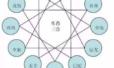 属相之间的相冲是什么意思（十二生肖相冲相克表）