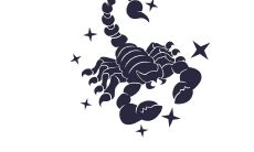 天蝎座的女生怎么哄啊（摩羯座女生配什么星座）