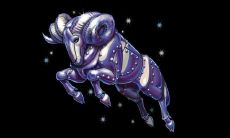 十二星座是什么神兽（十二星座专属灵兽）