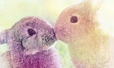 生肖相冲相克真的有影响吗（夫妻属相相冲结果会怎样）