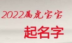 虎年男孩起名（2023属虎女孩最吉利的名字）