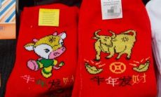 鼠年的本命年过了吗（为何属鼠的不怕本命年）