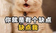 处女座和天秤座不配（天秤座跟哪个星座最不配）