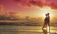 狮子座喜欢黏人还是不粘人的（狮子座先黏人后冷淡）