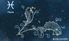 十二星座之心计排行榜（十二星座心机女排行榜）