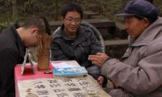 算命准不准有说法吗（算命的人为什么算得那么准）