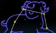 十二星座最渣的是哪个星座（狮子座最配哪个星座的女生）