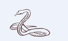 77年属蛇女未来5年运势走向（1977年属蛇女在2023年的运程）