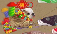 属狗人农历几日生最好（属狗人5月出生的命运）