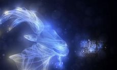 摩羯座女配什么星座最好（什么星座会保护摩羯女）