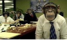 最近运气不顺怎么办（不顺利怎么改运气）