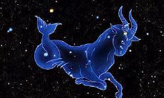 摩羯座的性格都是怎么样的（山羊座为什么叫摩羯座）