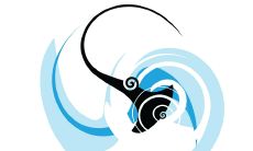 水瓶座是什么人保护者（水瓶座被什么星座守护）