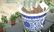 工字路口商铺风水（t字路口商铺风水图解）