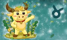 性格稳重成熟的星座（最有识人能力的星座）