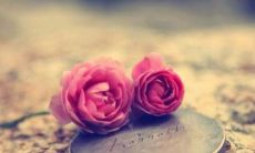 与金牛女最配的星座（金牛座女生配对表）