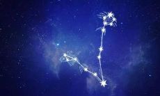 双鱼座很理性吗（双鱼座注定成魔）