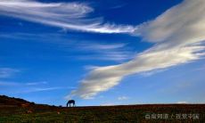 双鱼和白羊男配对（白羊座的克星是双鱼座）