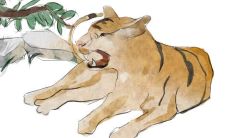 属虎的最佳配偶女性（女性属虎几月出生最好）