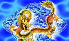 1976年属龙五行属相（1976年属龙的五行）