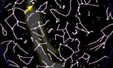 19850705农历是什么星座（5月是什么星座）