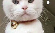 水瓶座女和天秤座男配对度（天秤座女与水瓶座男配对指数）