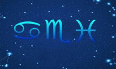 水象星座是什么意思啊（土象和水象星座合适吗）