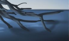 合婚夫妻宫子卯相刑代表什么（夫妻宫丑未相冲）