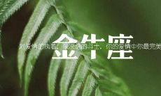 12星座谁最聪明谁最笨排名（运气最好的星座排名）
