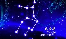 有个处女座的男朋友（处座男对有好感的女生）