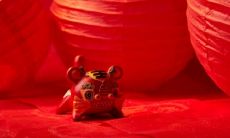 什么年属木虎年的（1986属虎是什么命）