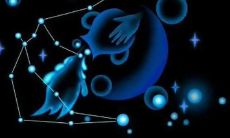 男的水瓶座性格怎么样（高级水瓶座和低级水瓶座）