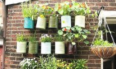 财位上的绿植死了（财位可以放绿萝吗）