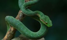 摩羯座男今日运势最准（摩羯座下月运势最准）