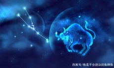 金牛座说讨厌你了（金牛座说不喜欢你）