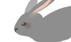 87年属兔的三合生肖是什么（属牛的三合生肖是什么）