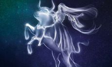 金牛座有魅力吗（金牛座女生的魅力）