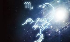 十二星座的初恋（十二星座配哪个小宠物）