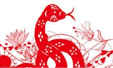 属蛇人与什么属相相克（属蛇的和什么相克）